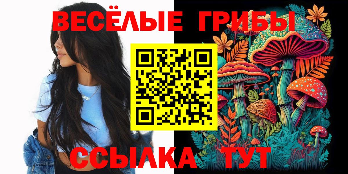 наркотики  Вход с VPN  Александров  Галлюциногенные грибы Cubensis 