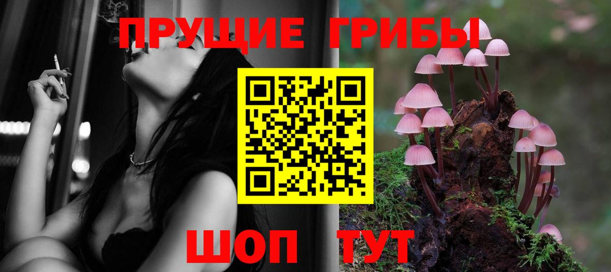 Псилоцибиновые грибы Cubensis Александров